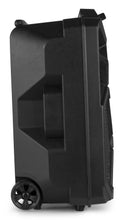 Carica l'immagine nel visualizzatore di Gallery, CASSA AMPLIFICATA 100W 8" BLUETOOTH+ BATTERIA RICARICABILE+MICROFONO LUCI LED